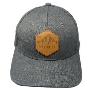 Traeger 5 Panel Gray One Size Timberline Mountain Patch Snapback BBQ Grill Hat